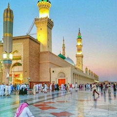 سبا / القاريء هشام عبدالباري