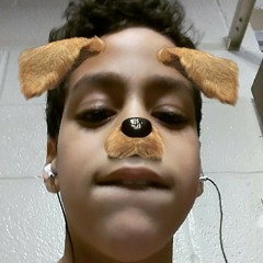 dominicknickens05@gmail.com