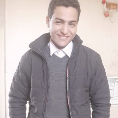 amir