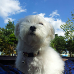 황인우