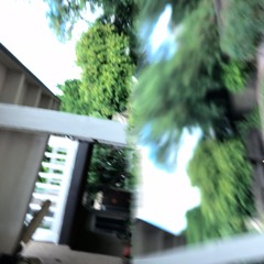 thrulr