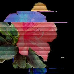 Kytyb