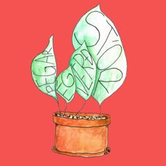 Þegar ég Verð Stór