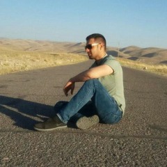 Hamid reza