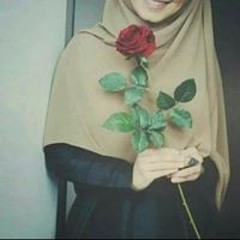 Dawlat mahmoud