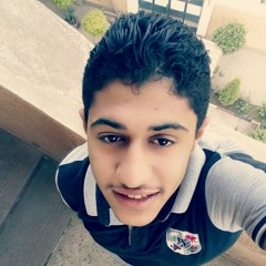 hussein el nems