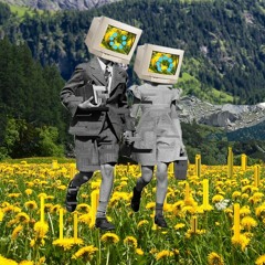 SunnysOasis