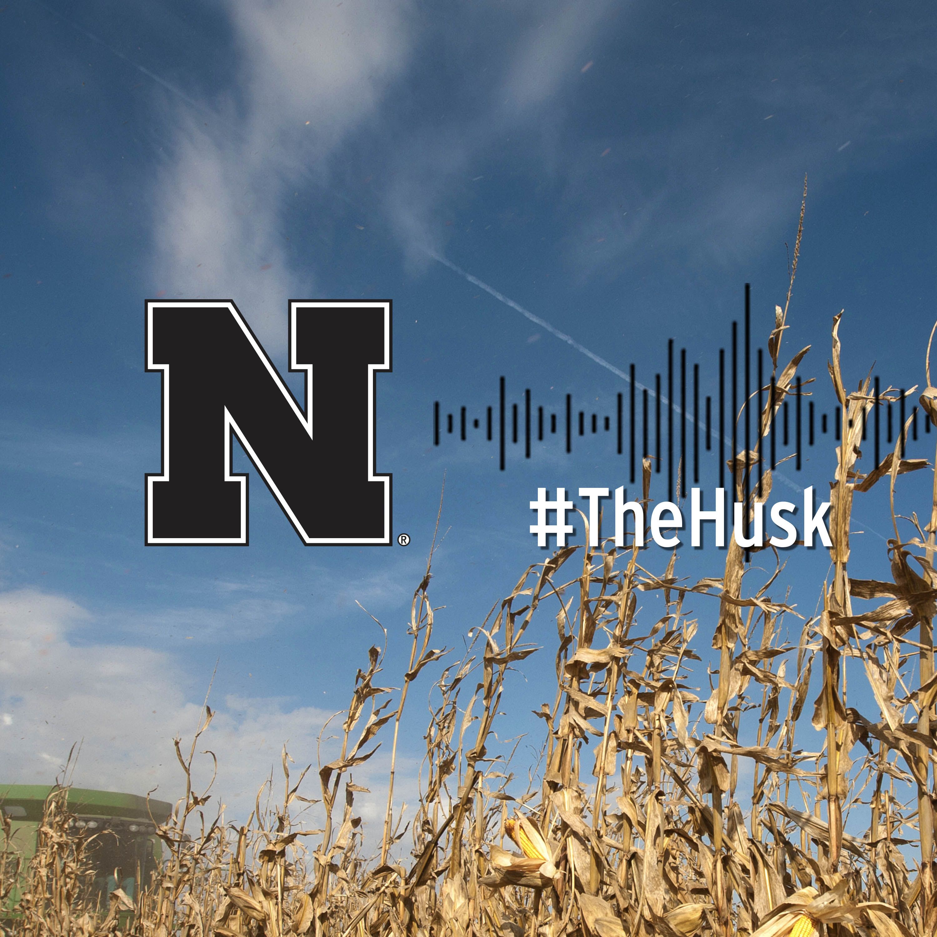 The Husk