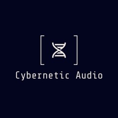 Cybernetic Audio