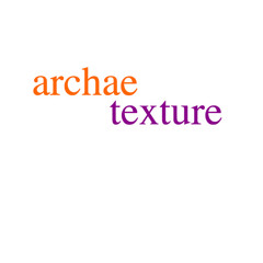 archaetexture