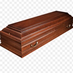 зоебысб, мяу