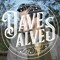 Dave Alves