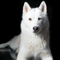 Der Holzschuhgieser (Wooden shoe foundry)