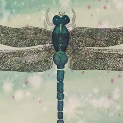 aceofdragonflies