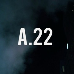 A.22