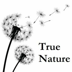 True Nature