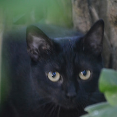 oudar.pierre
