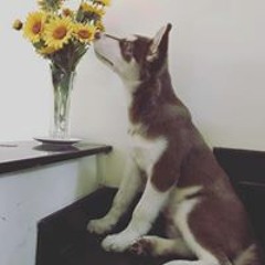 New private playlist