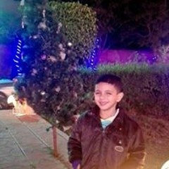 tarek
