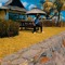 Riyashx Last