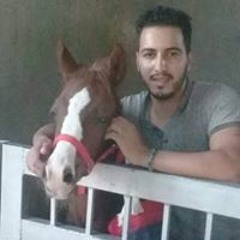 habibe