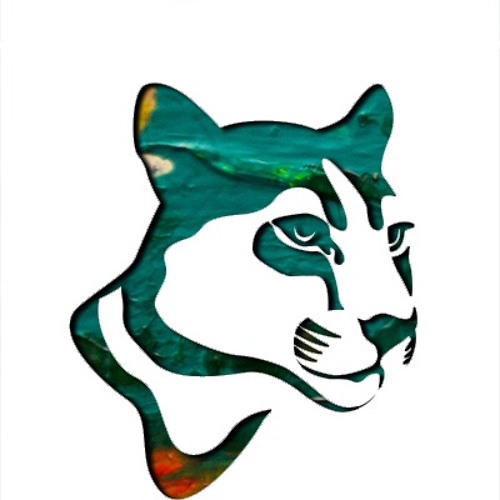 Puma's EDM’s avatar