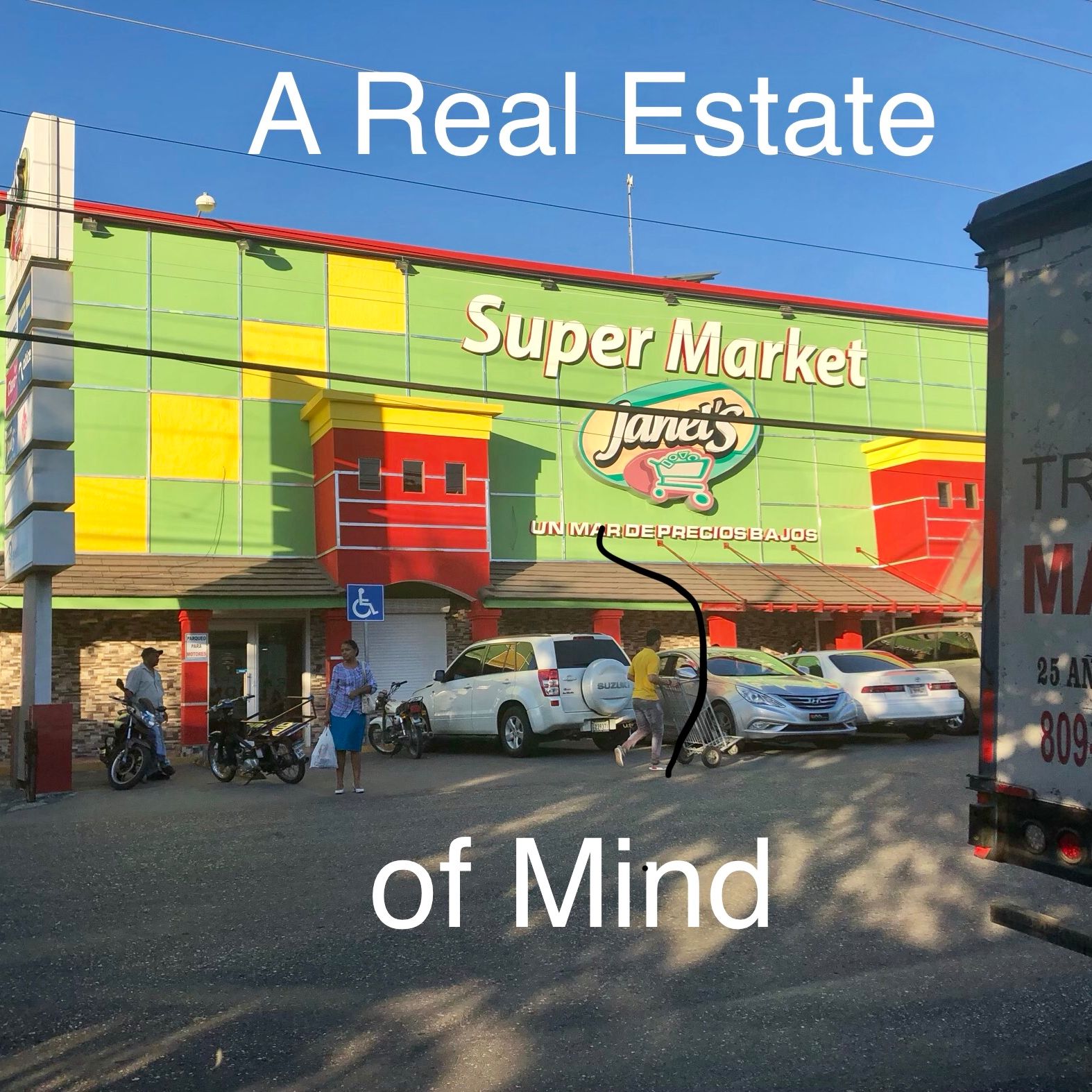 A Real Estate of Mind