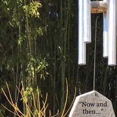 SYNTH You Need To Have