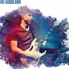 David Goodland - Guitar