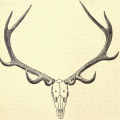 Antlerman