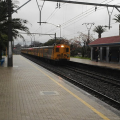 carlvdl