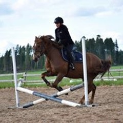 Assu Lankinen