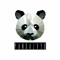 pandazvyk