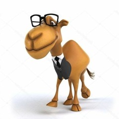 camel_camel