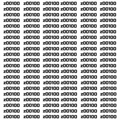 z00100