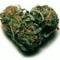 mogliexd420