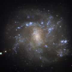 omerrsaygili