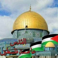 ابراهيم ابو دقة