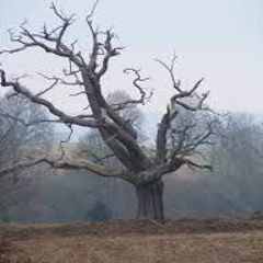 Dead Tree