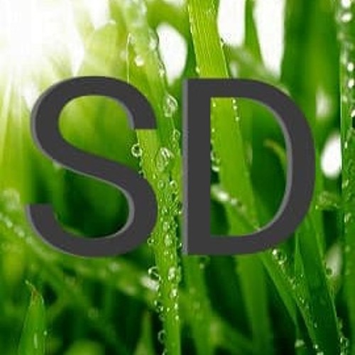 SD 2019’s avatar