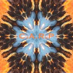 C.A.R.P