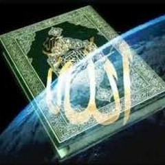 Sohib Hassan (صهيب حسانين)