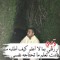 Ali Nagi