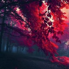 Dai 26 Ka - Mondai 1