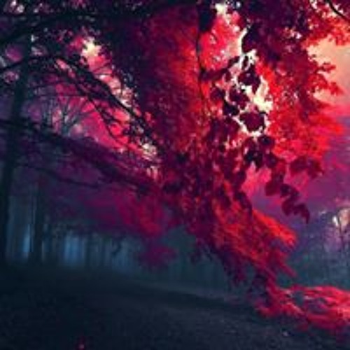Dai 26 Ka - Mondai 1