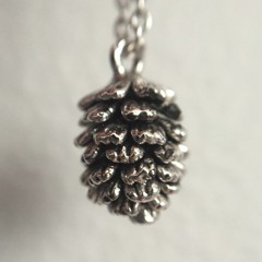 The Delicate Pinecone