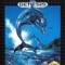 Miami Dolphins 1985
