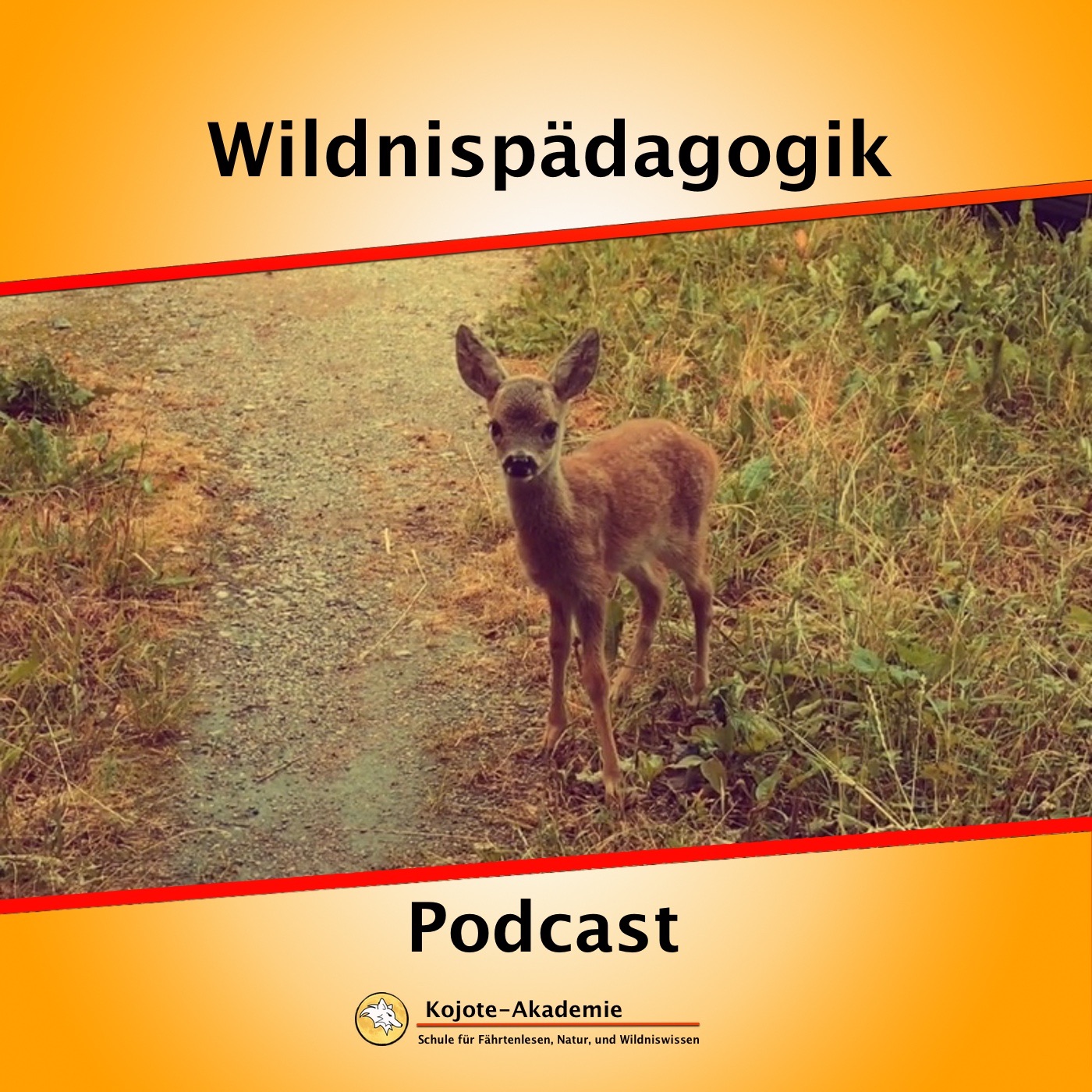 Wildnispädagogik