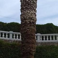 andrepz