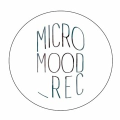Micromood Rec